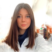 LORETO HERCE FERRER