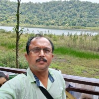 Ashok Taru Ashoktarudas