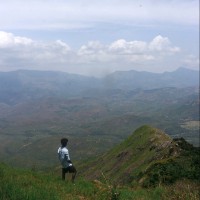 Selva Natarajan N