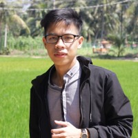 Vu Dang