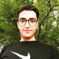 Seyed Farzad Zali