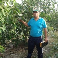 Fernando Guillermo Castañeda Menacho