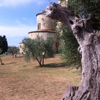 Antonella Di Spena