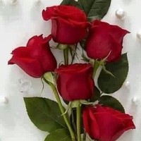 Sura Hameed