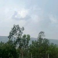 Shaikh Jee