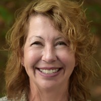 Laurie Dyke CPA/CFF, CFE Founding Partner