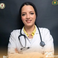 Hamsa Ashraf