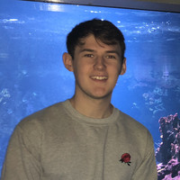 Mark Mcculloch
