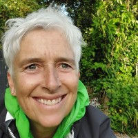 Elayne Mcdermott