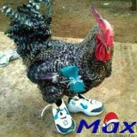 MAX MPONDO