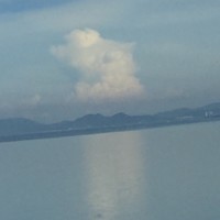 杜晓林
