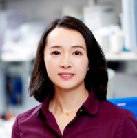 Hui Jiang, Phd