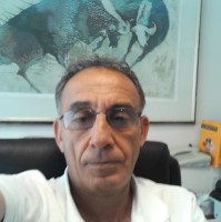 ilan mamou