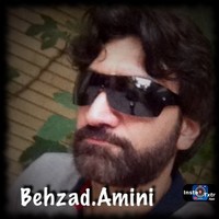 Behzad Amini