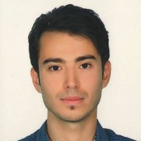 Ramin Nik