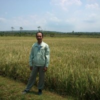 Tjahjono Wibowo