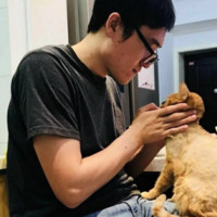 丛汉廷