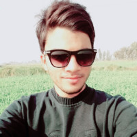 Rana Zulqar