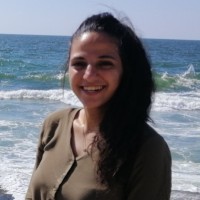 Eriny Adel