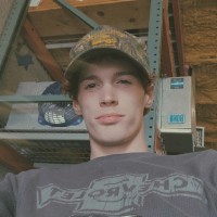 David Western