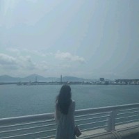 Lexi N–Net