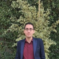 Amr Khamis