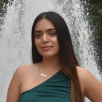 Deniz Mamaghani
