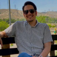 Hamid Mirzaei