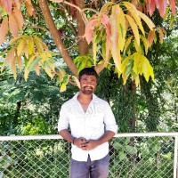 Velmurugan Shanmugam
