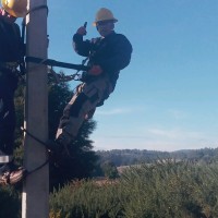 Mauricio Quintana Flores