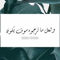 Shouroq Alzenaidy, Mba, Fmva®
