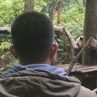 梁桂锋Alfred