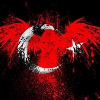 Caner K.