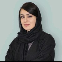 Elham noroozian