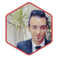 Mohamed A. Salem