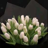 rami 9rami rami 9rami