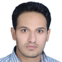 hamid dadashi