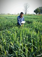 Bharat Patel