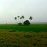 Sivaram Sivaram