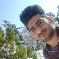 Seyed mostafa mirshamsi