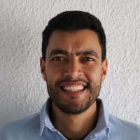 Hamed Mallat