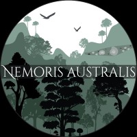 Nemoris Australis