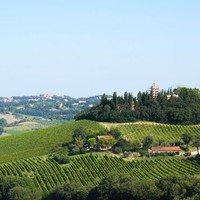 Rossano Sgammini