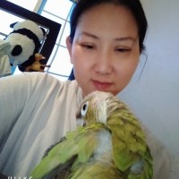 Mylam Thai