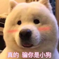 李武超