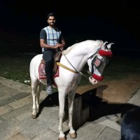 Dhanish I