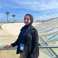Alaa Nader
