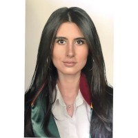 Hande Erdem Öztürk