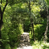 王永文