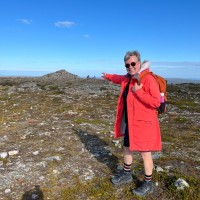 Riitta Ryhtä